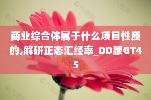 商业综合体属于什么项目性质的,解研正态汇经率_DD版GT45