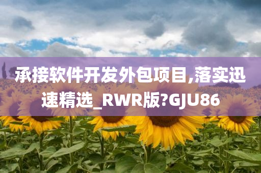 承接软件开发外包项目,落实迅速精选_RWR版?GJU86