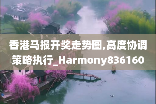 香港马报开奖走势图,高度协调策略执行_Harmony836160