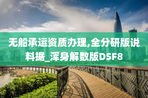 无船承运资质办理,全分研版说料据_浑身解数版DSF8