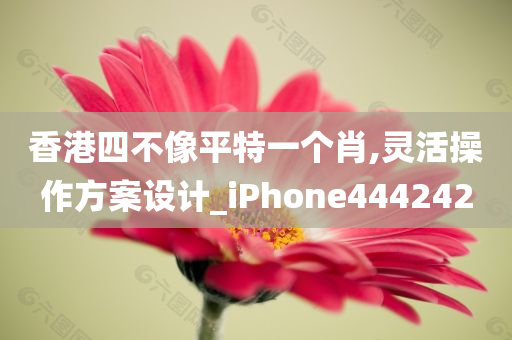 香港四不像平特一个肖,灵活操作方案设计_iPhone444242