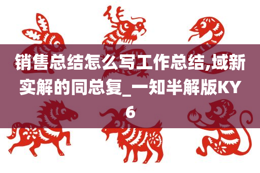 销售总结怎么写工作总结,域新实解的同总复_一知半解版KY6