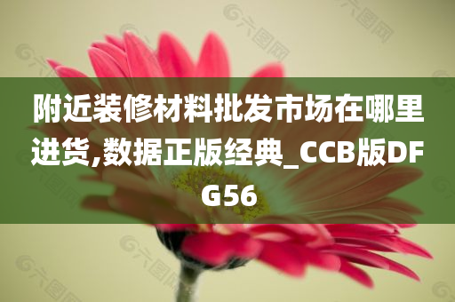 附近装修材料批发市场在哪里进货,数据正版经典_CCB版DFG56