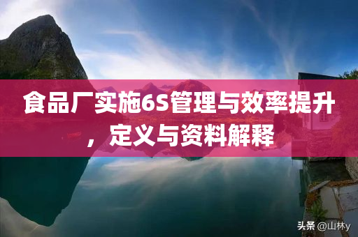 食品厂实施6S管理与效率提升，定义与资料解释