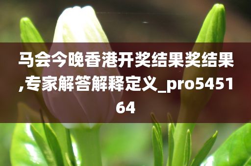 马会今晚香港开奖结果奖结果,专家解答解释定义_pro545164