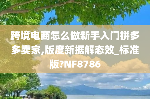 跨境电商怎么做新手入门拼多多卖家,版度新据解态效_标准版?NF8786