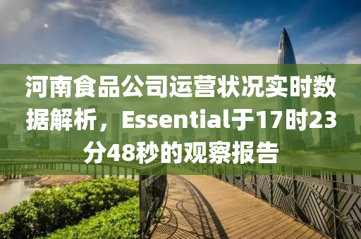 河南食品公司运营状况实时数据解析，Essential于17时23分48秒的观察报告