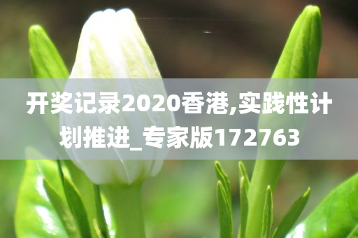 开奖记录2020香港,实践性计划推进_专家版172763