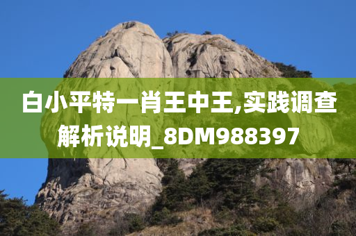 白小平特一肖王中王,实践调查解析说明_8DM988397