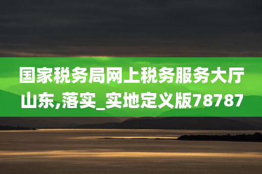 国家税务局网上税务服务大厅山东,落实_实地定义版78787