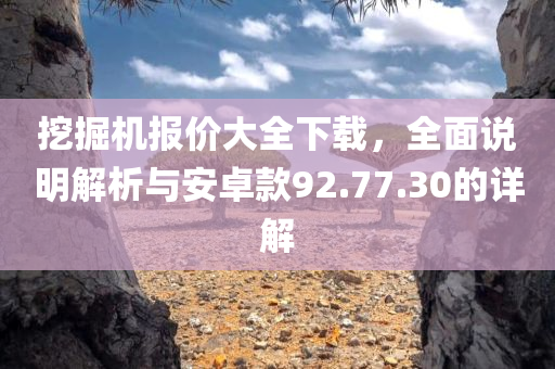 挖掘机报价大全下载，全面说明解析与安卓款92.77.30的详解