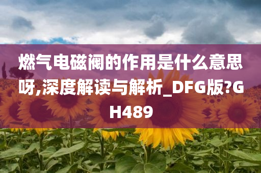 燃气电磁阀的作用是什么意思呀,深度解读与解析_DFG版?GH489