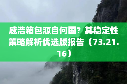 威浩箱包源自何国？其稳定性策略解析优选版报告（73.21.16）