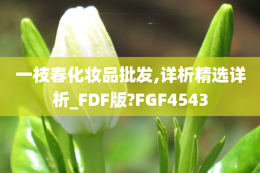 一枝春化妆品批发,详析精选详析_FDF版?FGF4543