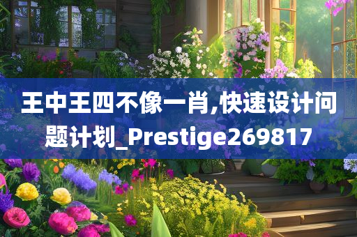 王中王四不像一肖,快速设计问题计划_Prestige269817