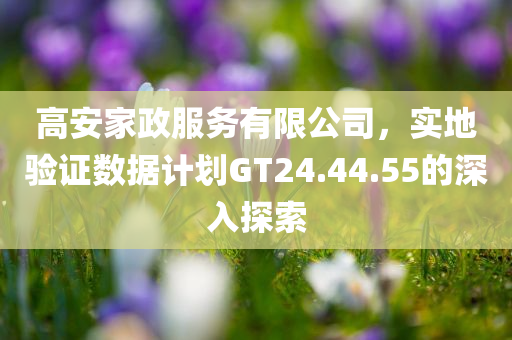 高安家政服务有限公司，实地验证数据计划GT24.44.55的深入探索