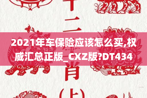 2021年车保险应该怎么买,权威汇总正版_CXZ版?DT434