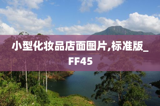 小型化妆品店面图片,标准版_FF45