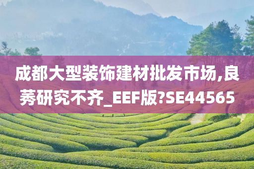 成都大型装饰建材批发市场,良莠研究不齐_EEF版?SE44565