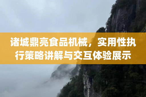 诸城鼎亮食品机械，实用性执行策略讲解与交互体验展示