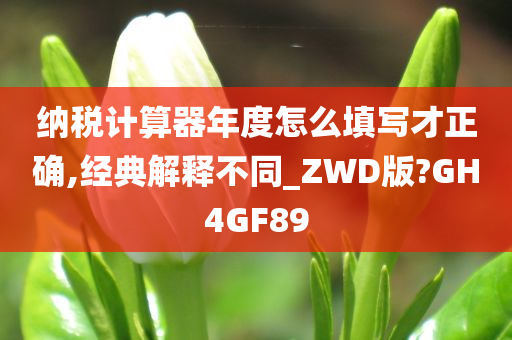 纳税计算器年度怎么填写才正确,经典解释不同_ZWD版?GH4GF89