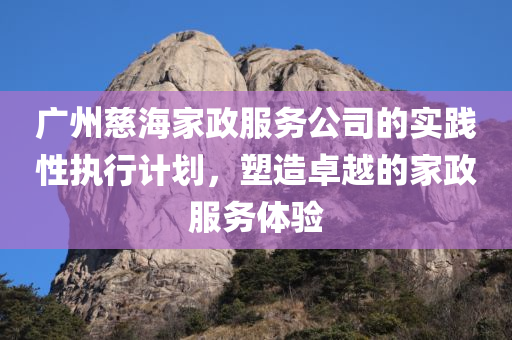 广州慈海家政服务公司的实践性执行计划，塑造卓越的家政服务体验