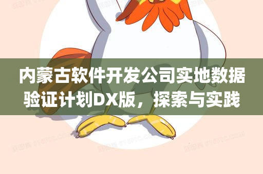 内蒙古软件开发公司实地数据验证计划DX版，探索与实践