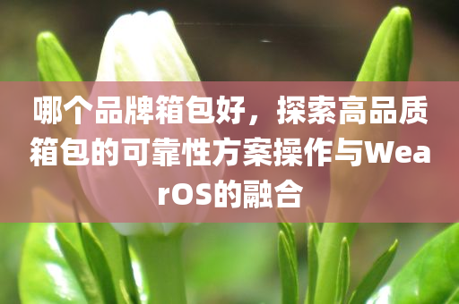 哪个品牌箱包好，探索高品质箱包的可靠性方案操作与WearOS的融合