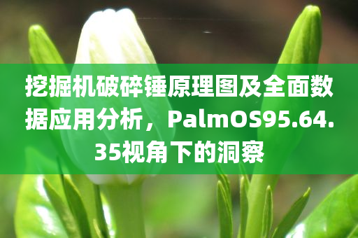 挖掘机破碎锤原理图及全面数据应用分析，PalmOS95.64.35视角下的洞察