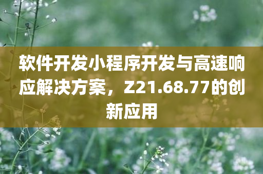 软件开发小程序开发与高速响应解决方案，Z21.68.77的创新应用