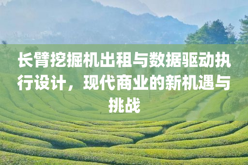 长臂挖掘机出租与数据驱动执行设计，现代商业的新机遇与挑战