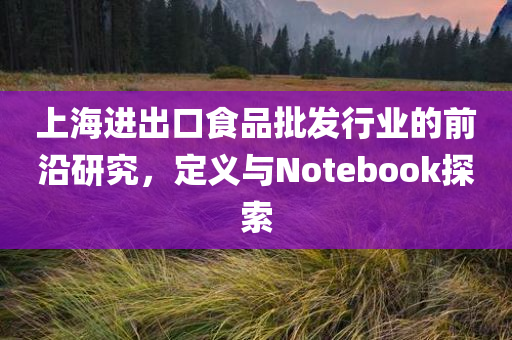 上海进出口食品批发行业的前沿研究，定义与Notebook探索