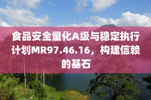 食品安全量化A级与稳定执行计划MR97.46.16，构建信赖的基石