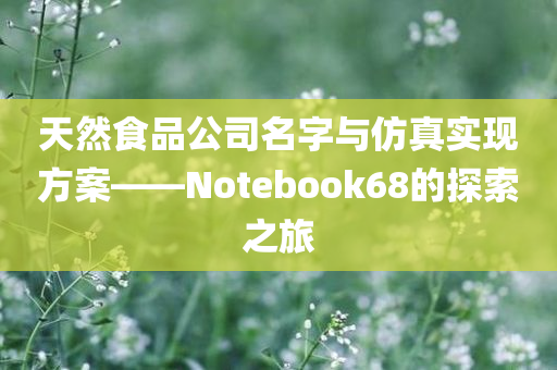 天然食品公司名字与仿真实现方案——Notebook68的探索之旅