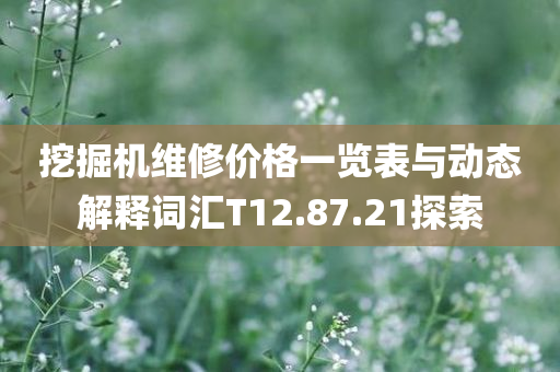 挖掘机维修价格一览表与动态解释词汇T12.87.21探索