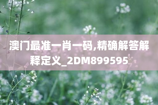 澳门最准一肖一码,精确解答解释定义_2DM899595