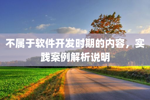 不属于软件开发时期的内容，实践案例解析说明