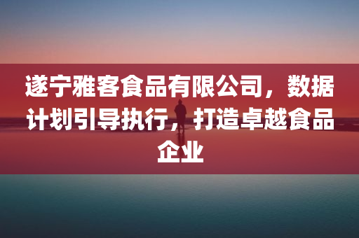 遂宁雅客食品有限公司，数据计划引导执行，打造卓越食品企业