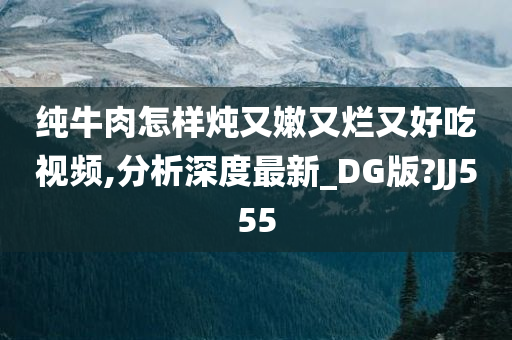 纯牛肉怎样炖又嫩又烂又好吃视频,分析深度最新_DG版?JJ555