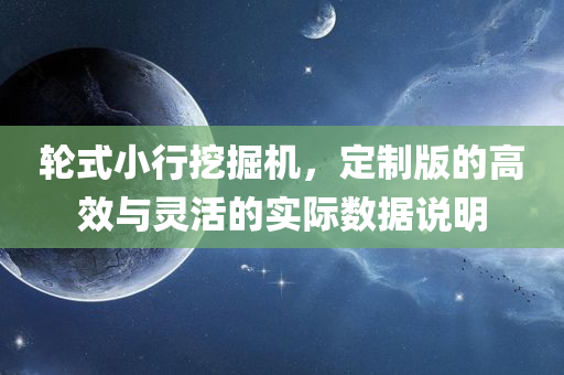 轮式小行挖掘机，定制版的高效与灵活的实际数据说明