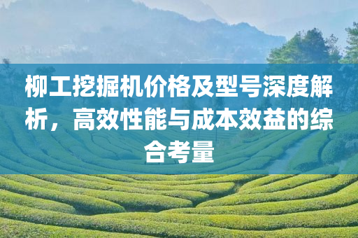 柳工挖掘机价格及型号深度解析，高效性能与成本效益的综合考量