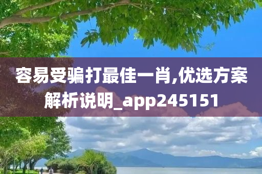 容易受骗打最佳一肖,优选方案解析说明_app245151