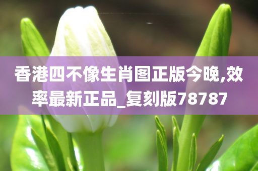 香港四不像生肖图正版今晚,效率最新正品_复刻版78787