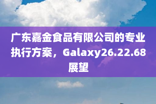 广东嘉金食品有限公司的专业执行方案，Galaxy26.22.68展望