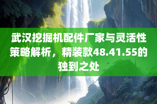 武汉挖掘机配件厂家与灵活性策略解析，精装款48.41.55的独到之处