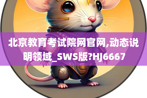 北京教育考试院网官网,动态说明领域_SWS版?HJ6667