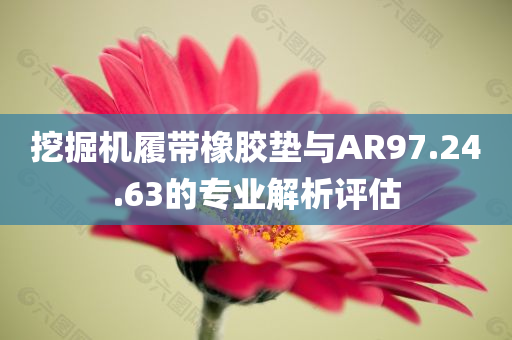 挖掘机履带橡胶垫与AR97.24.63的专业解析评估