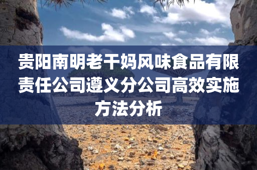 贵阳南明老干妈风味食品有限责任公司遵义分公司高效实施方法分析